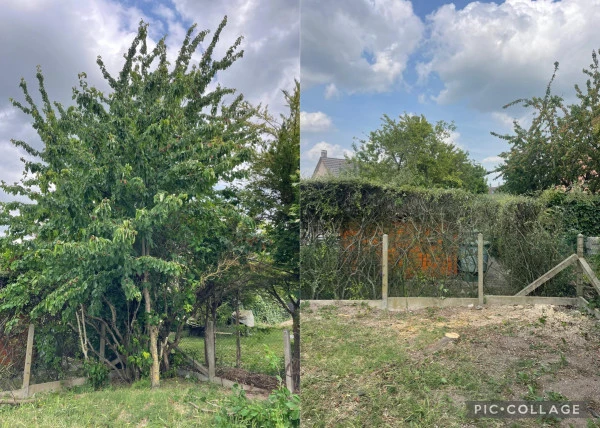 Abattage arbre Yvelines